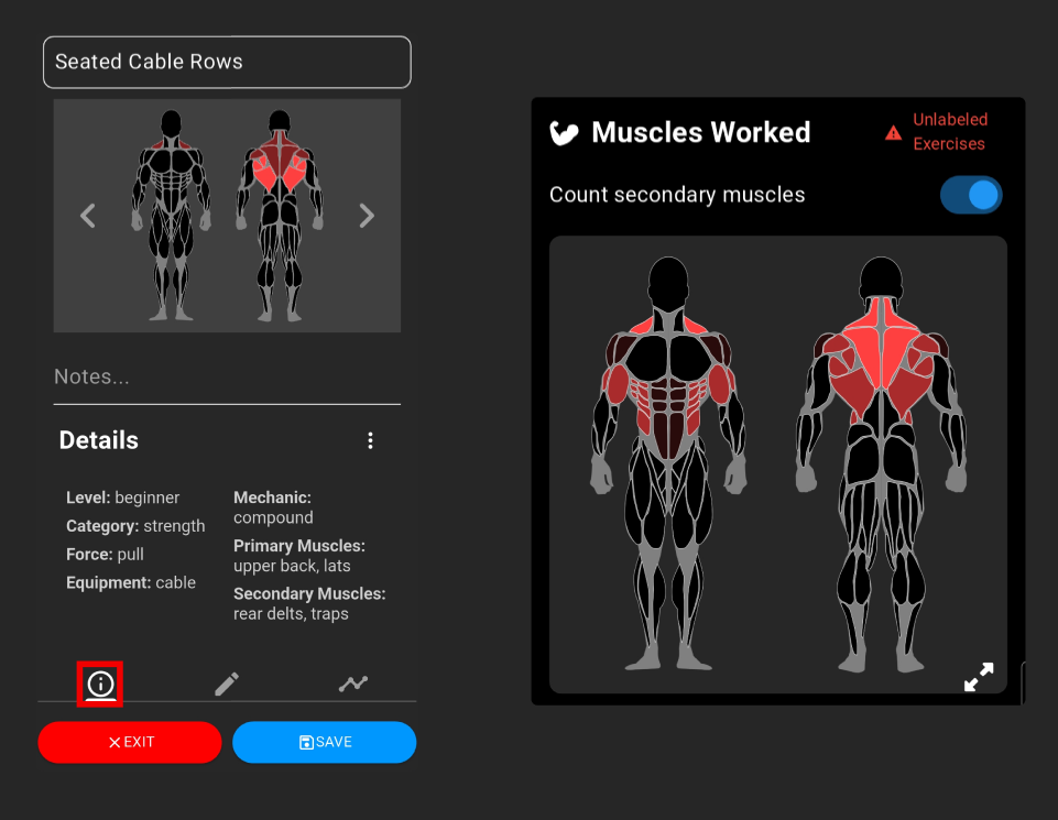 Muscle Diagram